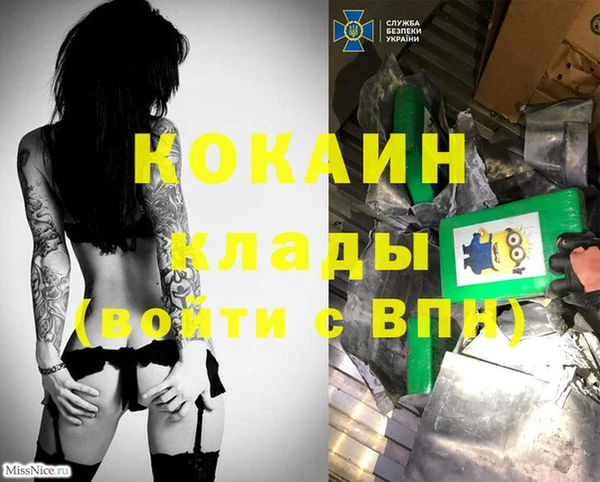 амф Вязники