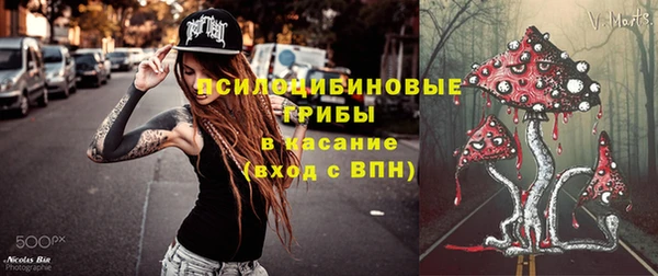 ГАЛЛЮЦИНОГЕННЫЕ ГРИБЫ Балахна