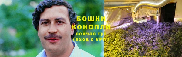 прущие грибы Баксан