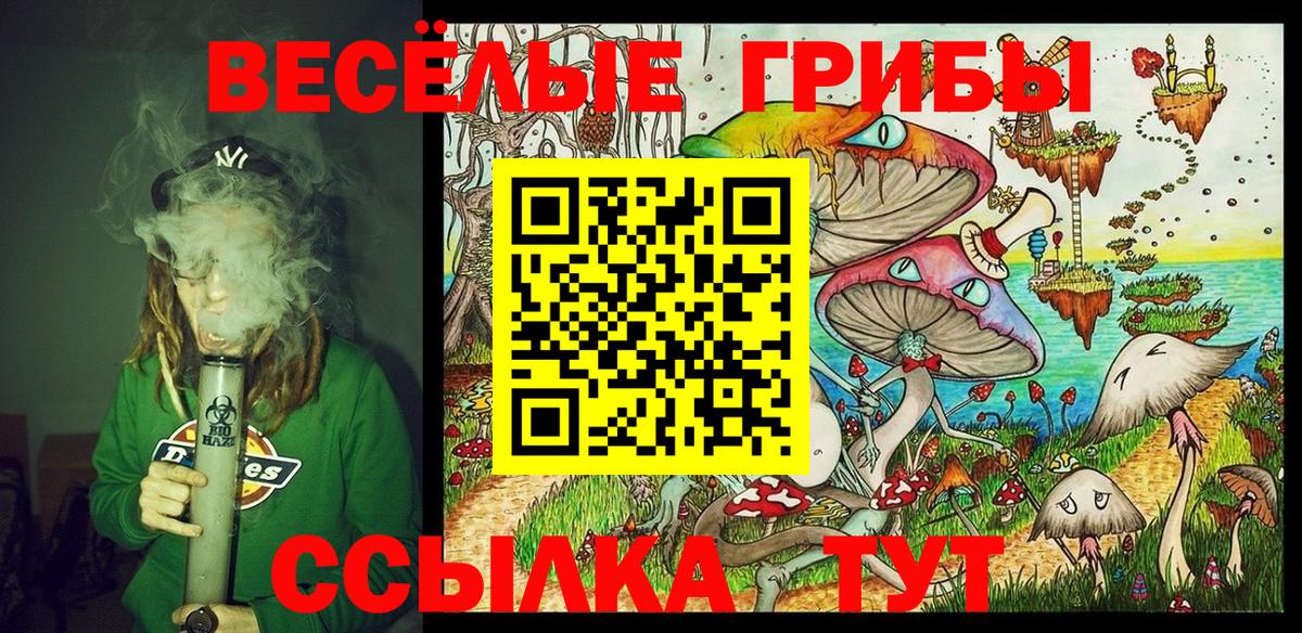 Псилоцибиновые грибы мицелий  Псилоцибиновые грибы Magic Shrooms  Вход с VPN  где найти   Воркута 
