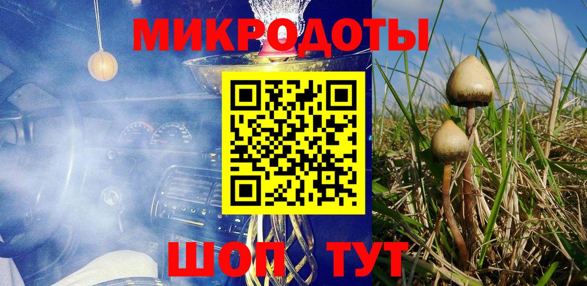 Псилоцибиновые грибы мухоморы Воркута